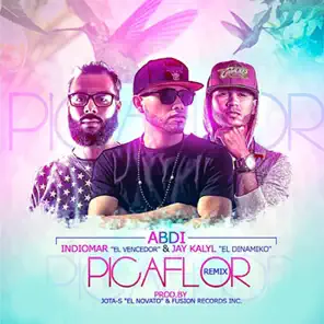 Picaflor (feat. Indiomar & Jay Kalyl) [Remix] – Single