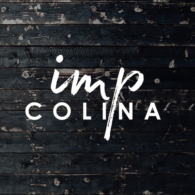 Equipo de Adoración IMP Colina