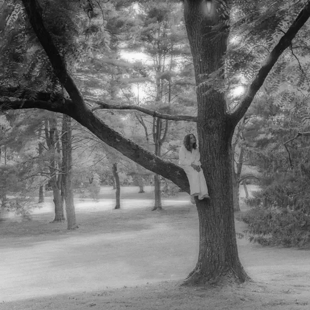 Hollyn & Weathrman – trees (2024)