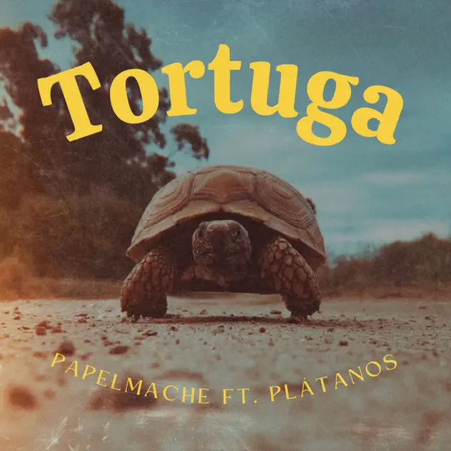 Papel Maché & Platanos – Tortuga (2025)