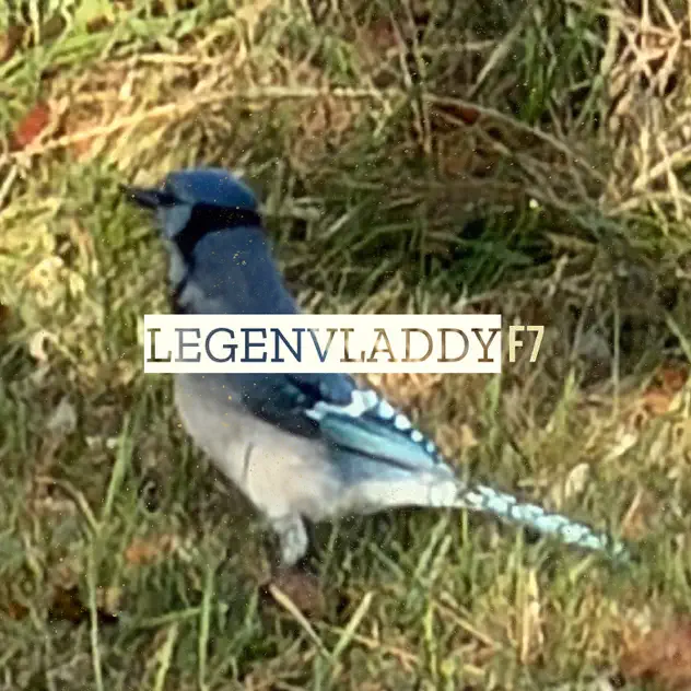 F7 – LegenVladdy (2025)