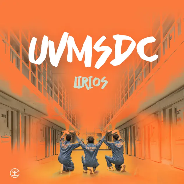 Lirios – UVMSDC (2025)
