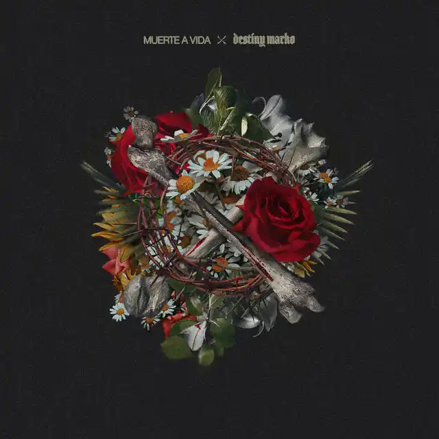 Destiny Marko – Muerte a Vida (2025)