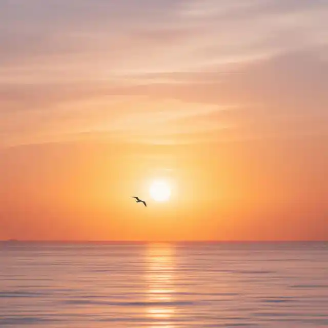 Daneyú Worship – Eres Hermoso (2025)