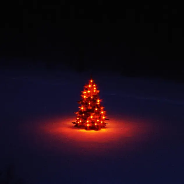 Ross – Una Foto Nada Más (2025)