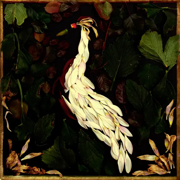 Audrey Assad – Fortunate Fall (2013)