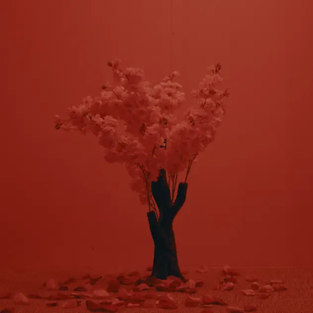 Ross – Profesora del Amor (2026)