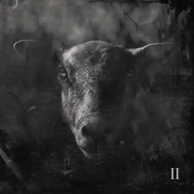 Ben Fuller & KB – Black Sheep II (2026)