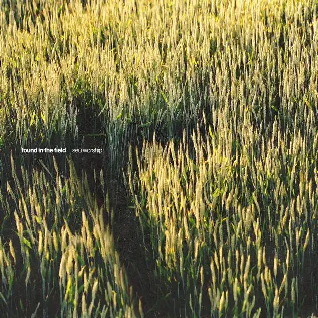 SEU Worship – Found in the Field (Live) (2026)